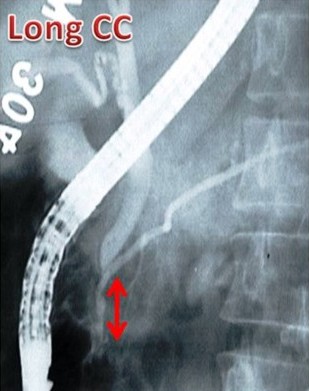 Descrizione: C:\Users\antonio.morselli\Documents\_JOP\ARCHIVIO\2010\201001\04_fig03b.jpg