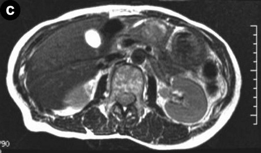 Descrizione: C:\Users\antonio.morselli\Documents\_JOP\ARCHIVIO\2010\201001\09_fig01c.jpg