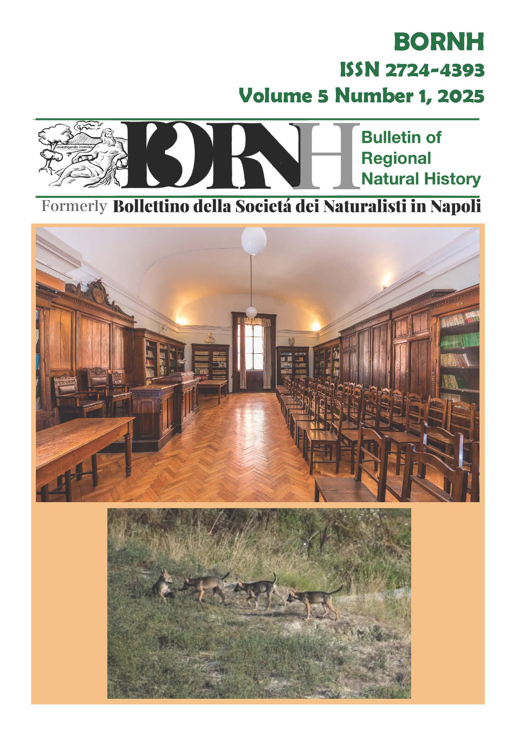 					Visualizza V. 5 N. 1 (2025): BORNH 01/2025
				