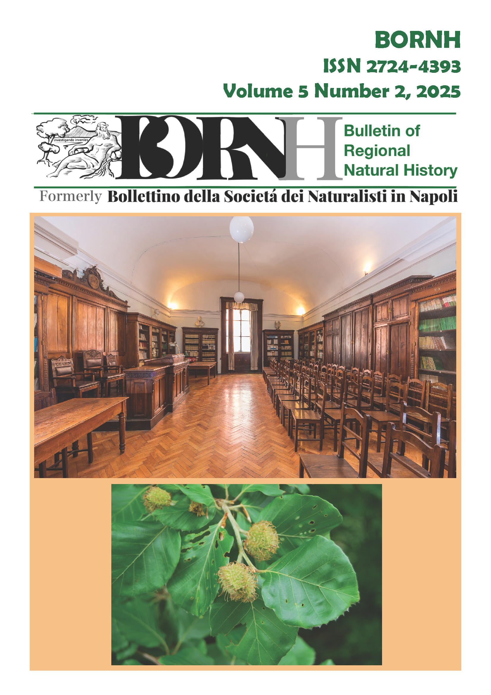 					Visualizza V. 5 N. 2 (2025): BORNH 02/25
				
