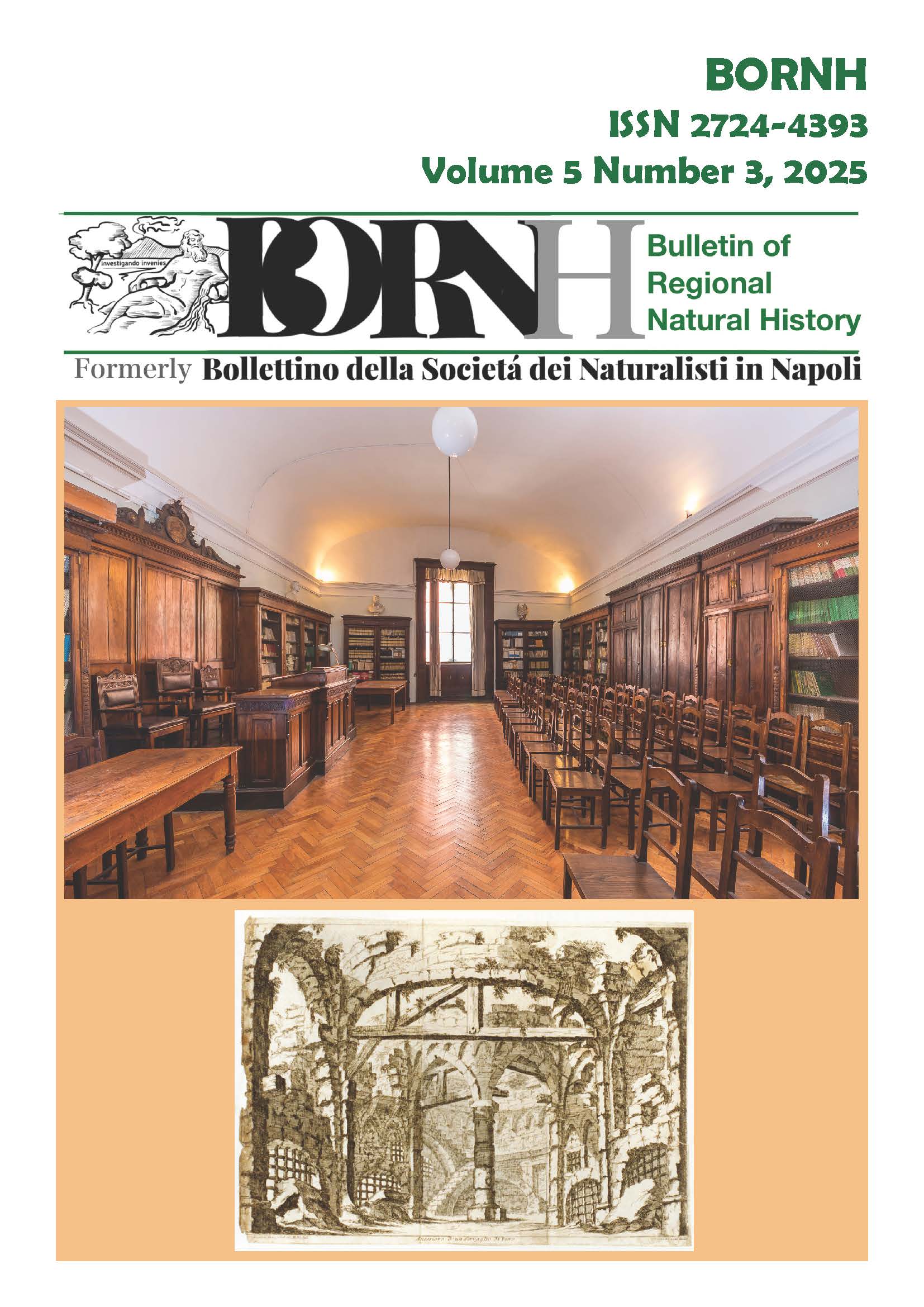 					Visualizza V. 5 N. 3 (2025): BORNH 03/2025
				